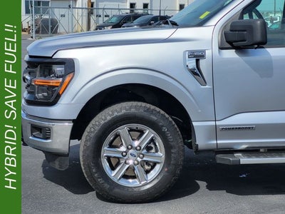 2024 Ford F-150 XLT